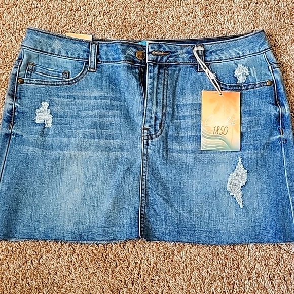 NWT mid rise mini skirt - Picture 1 of 5